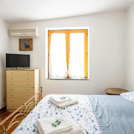 Domus Artis - House